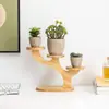 Estante de Almacenamiento de Escritorio de Bambú con Forma de Árbol de Tres Niveles al por Mayor para Plantas Suculentas de Interior y Pequeños Soportes para Flores de Exhibición