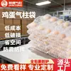 Paquete de 10 Bolsas de Columna de Aire para Empaque de Huevos para Entrega Express, Bolsas de Burbujas de Protección contra Caídas para Transporte, Bandejas Inflables para Huevos, Bolsas para Huevos de Pato