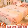 Nanjiren Coral Fleece Espesado Leche Fleece Cama Individual Conjunto de tres piezas Manta de vellón Individual Manta de doble cara Funda de cama Invierno