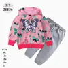 Comercio Exterior Ropa Infantil Primavera y Otoño Conjunto Infantil de Dos Piezas Material Sudadera Sudadera con Capucha Ropa Infantil para Bebés Ropa de Salida [Al por Mayor]