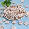 Concha Galvanizada Estrela do Mar Borda Dourada Pingente Pulseira DIY Colar Acessório de Joia Peças Materiais Atacado