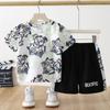 Terno infantil de verão 2024 novas roupas de secagem rápida roupas esportivas meninos bebê camuflagem camiseta duas peças roupas infantis atacado