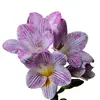 Bulbos de Alyssum Importados, Fresias en Maceta para Interiores y Exteriores, Flores Perennes de Cuatro Estaciones, Plantas con Flor Fáciles de Cultivar