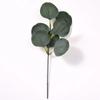 Flor Simulada Hoja de Eucalipto Arreglo Floral Transfronterizo Decoración de Mesa Hoja de Eucalipto Sola con Fruta Eucalipto Simulado