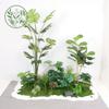 Paisajismo de Plantas Verdes Paisajismo de Balcones Decoración de Plantas Artificiales para Interiores y Exteriores Planta Viajera Plátano Espalda de Tortuga Planta Debajo de las Escaleras Paisajismo