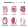 Amor Transfronterizo Patrón de Serpiente Ojo de Gato Imán Manicura Ojo de Gato Imán Extraíble Multifuncional Potente Fabricante de Imanes para Manicura