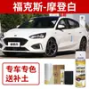 Ford Classic Focus Tinta Auto-Reparo Elegante Branco Caneta de Retoque Pintura de Carro Especial Reparo de Arranhões Cinza Cristal Titânio Prata Estelar