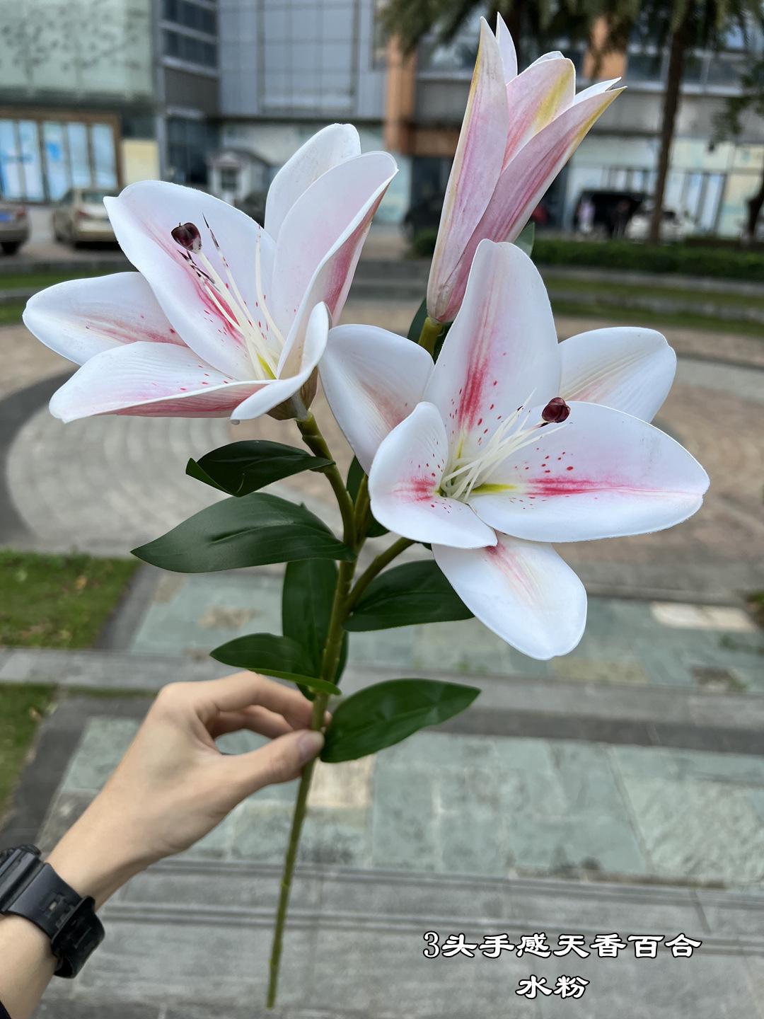 微信图片_20230408142840.jpg