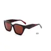 Óculos de Sol High-End Europeus e Americanos da Moda, Mais Vendidos na Amazon, Óculos de Sol Estilosos de Acetato, Versáteis e Modernos