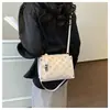 Bolso Pequeño Cuadrado Estampado de Lujo Ligero Transfronterizo Nuevo Estilo para Mujer Bolso de Hombro para Viaje de Negocios Gran Capacidad Bolso Cruzado de Hombro Único de Moda Versátil