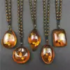 Cadena para Suéter de Cera de Abejas Ámbar Imitación Incrustada con Conchas Fósiles de Plantas Collares de Moda para Hombres y Mujeres Accesorios de Transmisión en Vivo de Exposición