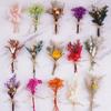 Mini buquê flor seca natural decoração caixa de presente casamento doce presente acessórios flor eterna pequena lapela de casamento