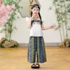 Disfraces Hanfu para Niños y Niñas, Atuendos de Danza Étnica Minoritaria, Atuendos Coordinados para Hermanos, Disfraces Exóticos Estilo Étnico Dai para Actuaciones de Jardín de Infancia, Modernos