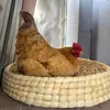Gallinero Antiguo, Gallinero de Paja, Gallinero Ponedor de Huevos, Gallinero Impermeable para Exteriores, Nido Ponedor de Huevos para Pollos, Nido Ponedor de Huevos Grande