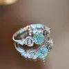Anel Popular Xiaohongshu Aquamarina Diamante Único Rose Estéreo Escovado Exquisito Moda Estilo Pequeno Fresco Dropshipping