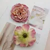 Nuevo Peonía diy Tocado Flor Corte de Flores Color Flor de Cabeza Flor de Cabeza Color Morandi Fragante Princesa Peonía Pintura al Óleo Bandera Flor de Cabeza