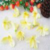 Joias DIY enfeite de cabeça flor orquídea triangular decoração de mesa orquídea triangular de 6 pétalas flor decoração pastoral para casa