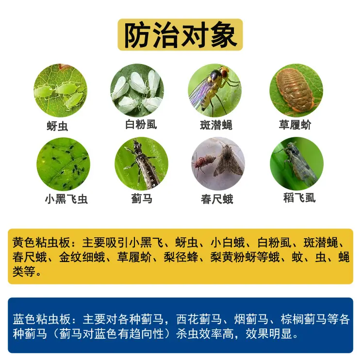 详情页新_03.jpg
