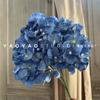 5 Cabezas sueño hortensia boda decoración auditorio flor falsa decoración hogar flor simulación fila de flores camino flor hortensia pared