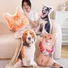 Almohada de Gato Feo Personalizada con Impresión de Foto, Directo del Fabricante, Almohada para Mascotas al por Mayor, Cojín de Gato y Perro Realista Personalización