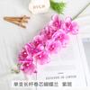Flor Artificial Flor Falsa Haste Longa Núcleo de Rolo Phalaenopsis Top de Linha Sala de Estar Atmosfera Aconchegante Casamento Arranjo de Flores de Chão para Casamento