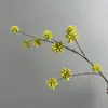 Fruta de Simulación Fruto de Cornus Fruto de Morera Planta Verde Material de Paisajismo Arreglo Floral Flor Preservada Flor del Año Fruta Roja Fruto de Toon Chino