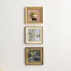 Marco de fotos magnético creativo para plantas de aire, marco de fotos retro para escritorio, pared interior, forma cuadrada, 5 pulgadas