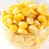 Granos de Maíz Bajos en Grasa Listos para Comer, Fruta, Maíz Empaquetado al Vacío Individualmente, 50 Paquetes Pequeños, Snacks Sustitutos de Comida Fitness, Fáciles de Comer para Llevar