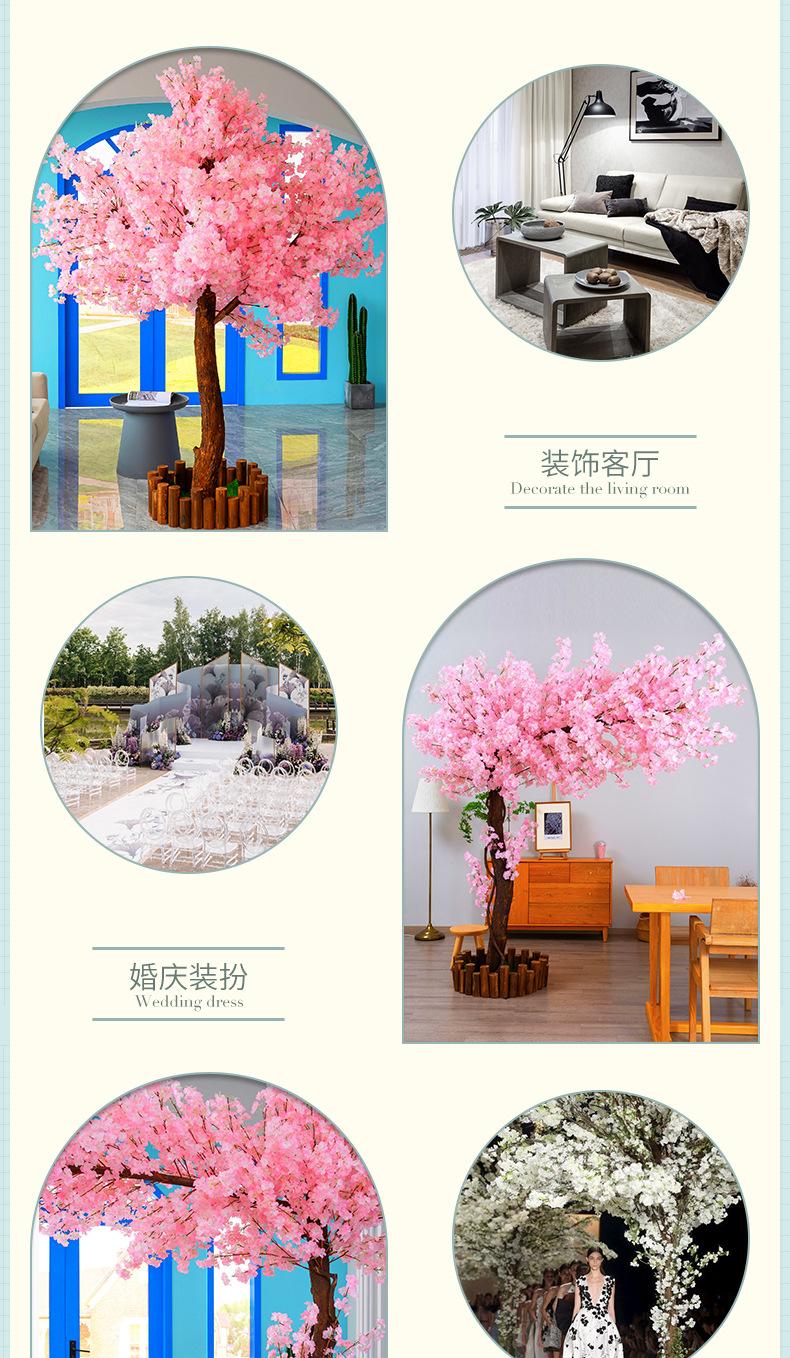 详情-05.jpg