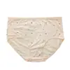 Al por mayor transfronterizo estilo nuevo algodón elástico frescas y sencillas florales de cintura media bragas para mujer