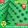 Techo Verde Tablero de Drenaje de Plástico HDPE Jardín Sótano Garaje Almacenamiento Tablero de Drenaje Tablero de Drenaje Compuesto Negro