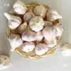 Modelo de Cabeza de Ajo Artificial de Espuma Falsa Ajo Decoración de Cocina Accesorios de Exhibición Juguete para Niños Sellado al Aire Caliente de Alta Frecuencia