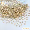 Champagne Punta Inferior Diamante Forma Especial Diamante Estilo Mixto Al por Mayor Brillo Joyería para Uñas Xiaohongshu Diamante para Uñas Usable Uñas Al por Mayor