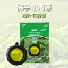 Aromaterapia para Carro Saída de Ar do Carro Pastilhas de Perfume no Carro Fragrância de Alto Padrão Desodorante em Bálsamo para Homens e Mulheres com Sensação de Alto Padrão