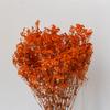 Ramo de Gypsophila Eterna DIY Materiales Florales al por Mayor Fábrica de Flores Preservadas Suministro Directo Flores de Mesa Flores Hechas a Mano Flores Secas