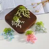 Acessórios de joias com franjas de contas de alto senso, estilo nicho para primavera e verão, brincos brincos acessórios decorativos diy atacado