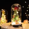 Fornecimento Direto do Fabricante Luzes de LED Transfronteiriças Bonecos para Árvore de Natal Enfeites Presentes de Natal para Namorada ou Amante Chapéu de Natal
