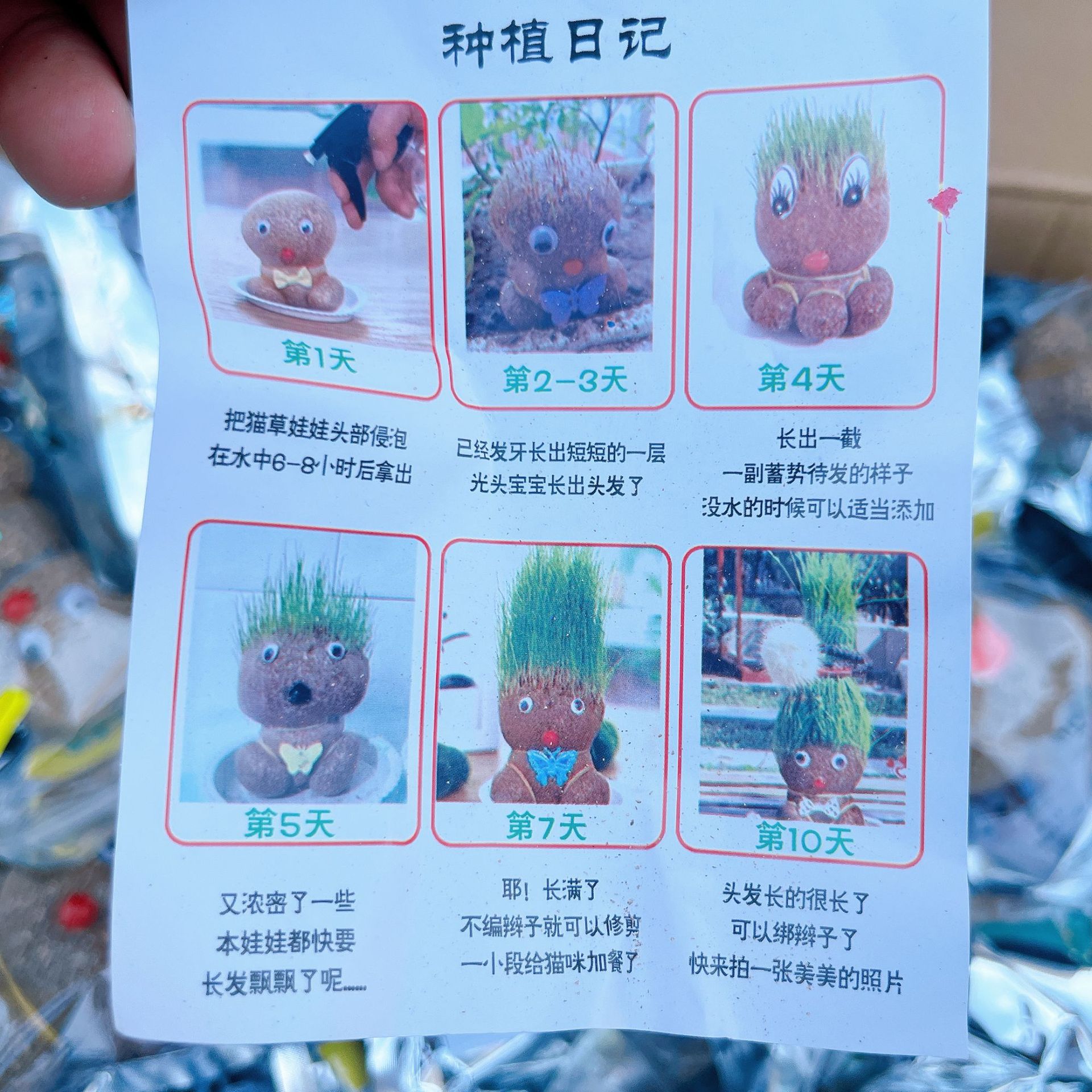 IMG_9534(20220718-155548)