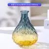 Mini jarrón de florero de lujo ligero moderno, adorno de botella de vidrio de diámetro pequeño para sala de estar, estilo nórdico francés arreglo floral hidropónico
