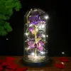 Flor Eterna Cubierta de Vidrio Productos Terminados Venta al por Mayor Adornos Caja de Regalo de Rosa Regalo de Tanabata Día de San Valentín Regalo de Cumpleaños para Novia
