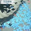 Direto da Fábrica Coreia do Sul unha borboleta glitter lantejoulas decoração de unha filme refletivo fluxo cânhamo feito à mão faça você mesmo filme refletivo