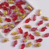 Ano Abundante de Peixes Ano após Ano Contas de Peixe Pequeno com Furo Reto de Vidro Acessórios para Joias Artesanais DIY Materiais Pulseira Colar Contas Soltas