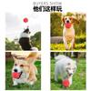 Bola de Brinquedo para Cão, Resistente a Mordidas e Resistente a Molares, Filhote, Golden Retriever, Teddy, Auto-Prazer e Alívio do Tédio, Bola de Borracha Sólida, Treinamento de Animais de Estimação