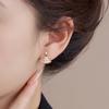 Pendientes de Zirconio con Microincrustaciones de Nuevo Estilo en Forma de Abanico para Mujer, Moda de Alta Gama, Estilo de Lujo Ligero, Pendientes Versátiles, Joyería de Oreja Simple y Exquisita