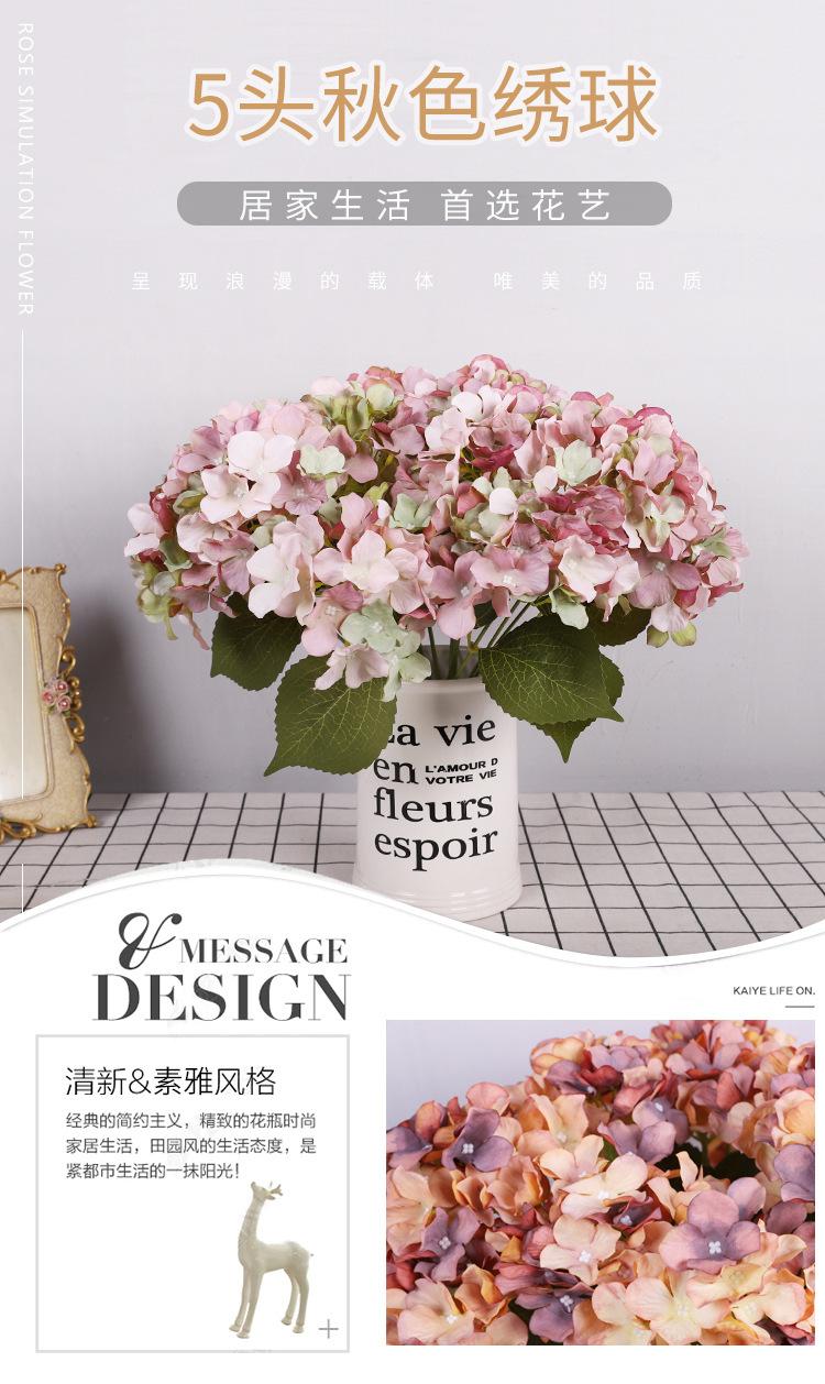 5头秋色绣球_02.jpg