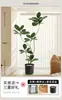 Árbol de Goma Simulación Planta Verde Planta Falsa Sala de Estar Lujo Ligero Flor Biónica Árbol Decorativo Interior Planta Grande en Maceta Adorno de Piso