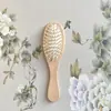 Peine Masajeador Especial para Cabello Largo y Rizado de Mujer, Peine Suavizante con Bolsa de Aire, Portátil para el Hogar, Venta al por Mayor