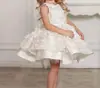 Vestido Infantil Vestido de Princesa Meninas Manga Longa Cinza Prateado Aplique Feito à Mão Saia de Gaze Fofa Infantil de Tamanho Pequeno e Médio