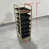 Novo Carrinho de Cabeleireiro, Carrinho de Ferramentas para Salão de Beleza, Carrinho de Cabeleireiro Multifuncional, Carrinho para Permanente e Coloração de Barbearia, Carrinho de Armazenamento