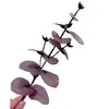 Folhas Marcadas Simuladas, Plantas Artificiais de Eucalipto, Folhagem Artificial Decorativa Realista para Paisagismo de Alto Padrão